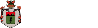 Vip Blog
